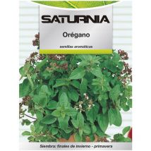 Semillas Aromaticas Oregano (0.3 gramos)