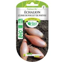 Schalotten-Samen Oberschenkel von Poitou bio Die grünen Finger