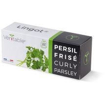 Graines En Recharge Prête À L'Emploi - Lingot Persil Frisé Bio- Véritable