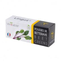 Veritable - Véritable - Lingot pousses de betterave bio - Graines en recharge prêtes à l'emploi