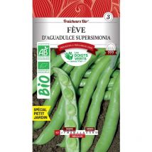 Graines fèves d'Aguadulce Supersimonia bio Les Doigts Verts 30g