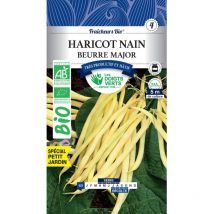 Graines haricot beurre major bio Les Doigts Verts 100g