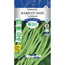 Graines haricot nain talisman bio Les Doigts Verts 100g