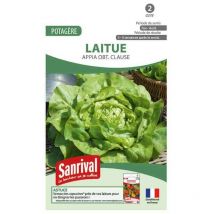 Graines Laitue 3 saisons