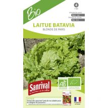Graines laitue batavia de Blonde de Paris ab Bio