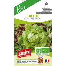 Graines Laitue Kagramer sommer 2 bio
