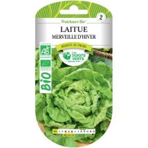 Saatgut Kopfsalat Wunder des Winters bio Die Grünen Finger