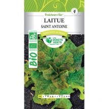 Graines laitue Saint Antoine bio Les Doigts Verts