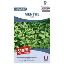 Graines Menthe Verte 'Menthas Viridis'