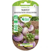 Saatgut rote flache Rüben früh bio Die Grünen Finger