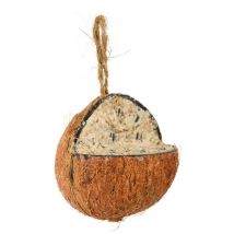 Graines oiseaux Noix de coco suspendre