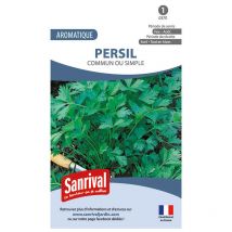 Graines de Persil Commun