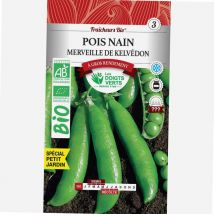 Erbsen Samen Zwergwunder von Kelvedon bio Die Grünen Finger 30g