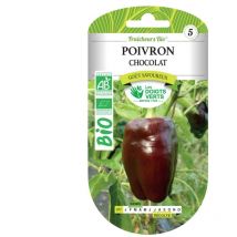 Graines poivron chocolat bio Les Doigts Verts