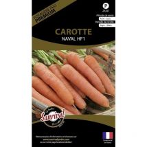 Graines potagères premium carotte Naval
