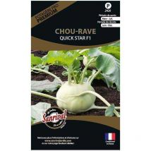 Graines potagères premium chou Chou rave Quick star