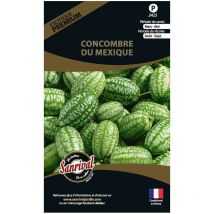 Graines potagères premium Concombre Du Mexique