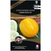 Graines potagères premium concombre rond lemon apple Rond lemon apple