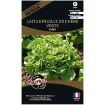 Graines potagères premium laitue Feuille de chêne verte Kyrio