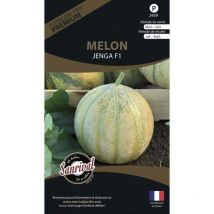Graines potagères premium melon Charentais Jenga