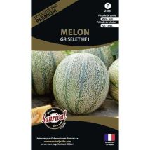 Graines potagères premium melon Griselet