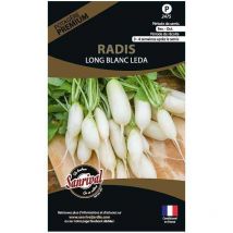 Graines potagères premium radis Long blanc Leda
