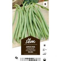 Graines potagères haricot Delinel nain mangetout