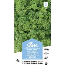 Graines potagères persil Bravour