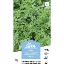 Graines potagères persil Simple xxl