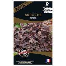 Graines potagères premium Arroche