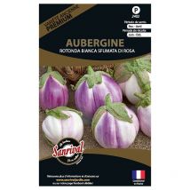 Graines potagères premium aubergine Bianca