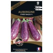 Graines potagères premium aubergine Striée radio