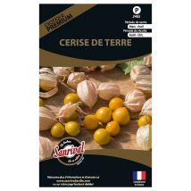Graines potagères premium cerise de terre