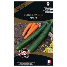 Graines potagères premium Concombre Max