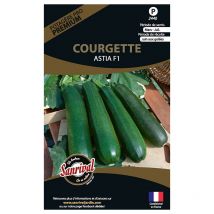 Graines potagères premium courgette Astia