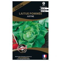 Graines potagères premium laitue Pommée Justine