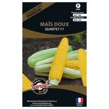 Graines potagères premium maïs Doux