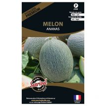 Graines potagères premium melon Ananas