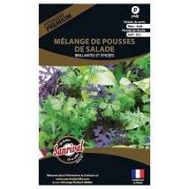 Sanrival Premium - Graines potagères premium mélange de pousses de salade Brillantes et épicées