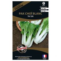 Graines potagères premium pak choï Blanc