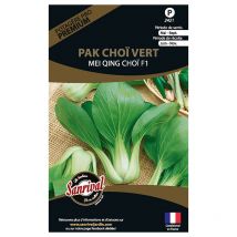 Graines potagères premium pak choï Vert