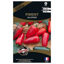 Graines potagères premium piment Jalapeno