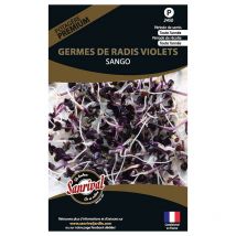 Graines potagères prenium germes de radis violets