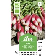 Graines potagères radis De 18 jours