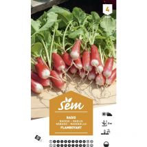 Graines potagères radis Flamboyant