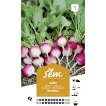 Graines potagères radis National