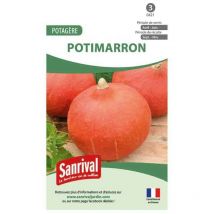 Graines potimarron