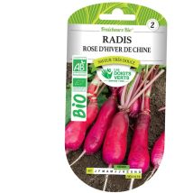 Graines radis rose d'hiver de Chine bio Les Doigts Verts