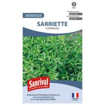 Graines sarriette commune