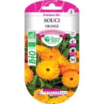 Graines souci orange bio Les Doigts Verts